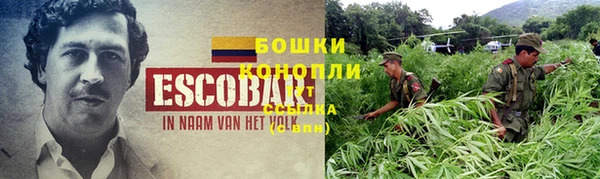 мдма Богданович