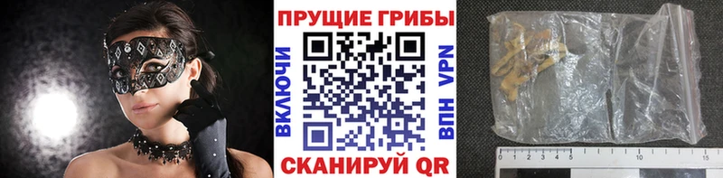 ссылка на мегу рабочий сайт Дубна Псилоцибиновые грибы MAGIC MUSHROOMS
